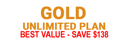 Gold-Recolor2 Best Value