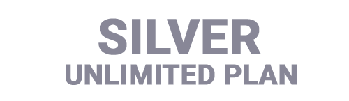 Silver-Recolor NoonPi Gold Unlimited Plan